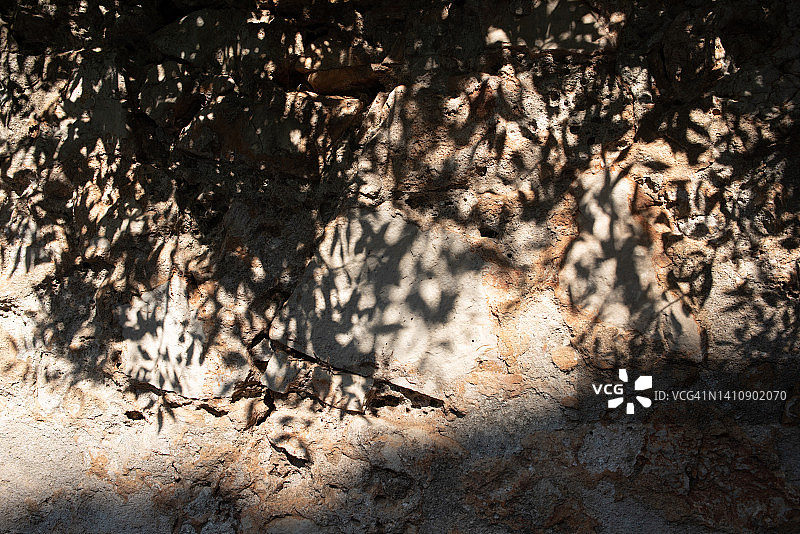 带有树枝阴影的通用自然背景图片素材