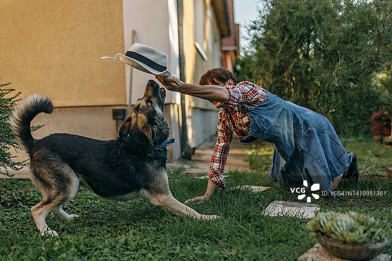 一位老人在和她的狗玩耍图片素材