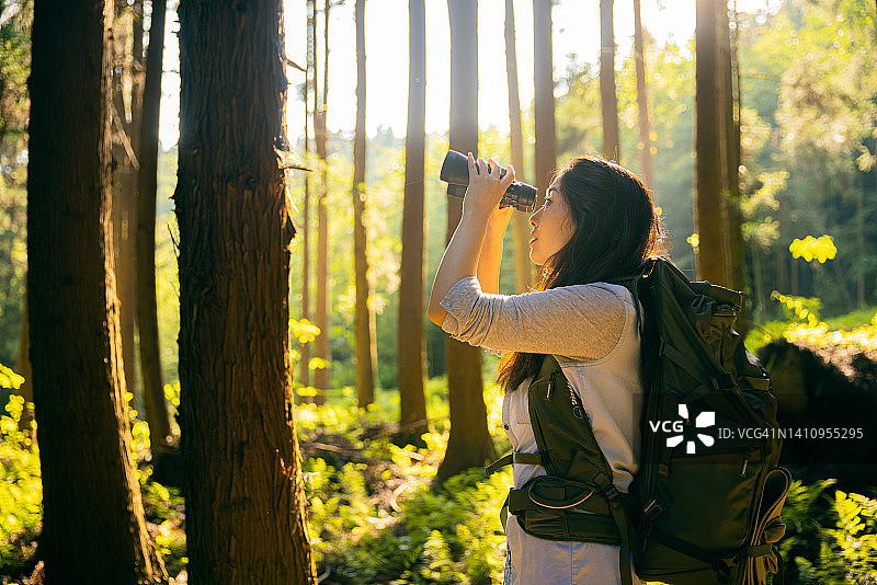 年轻女子在森林里使用双筒望远镜图片素材