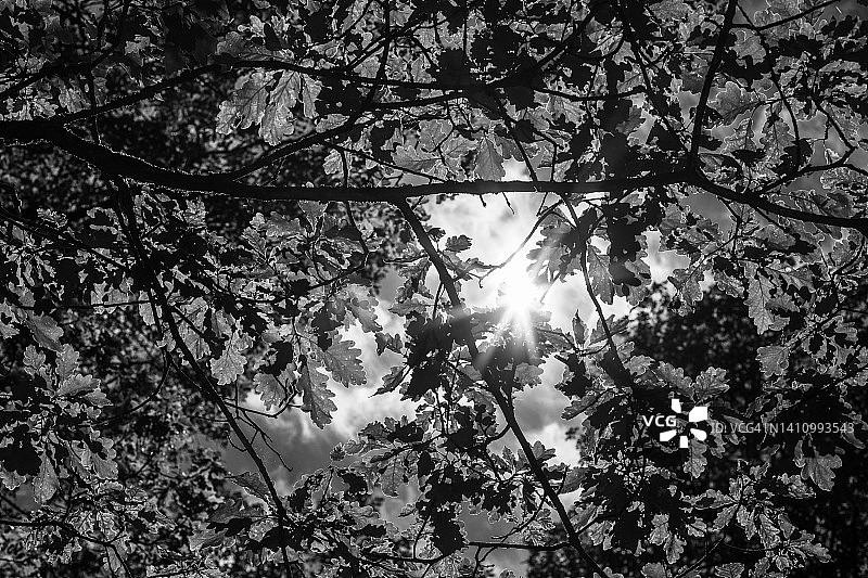 环境光晕图片素材