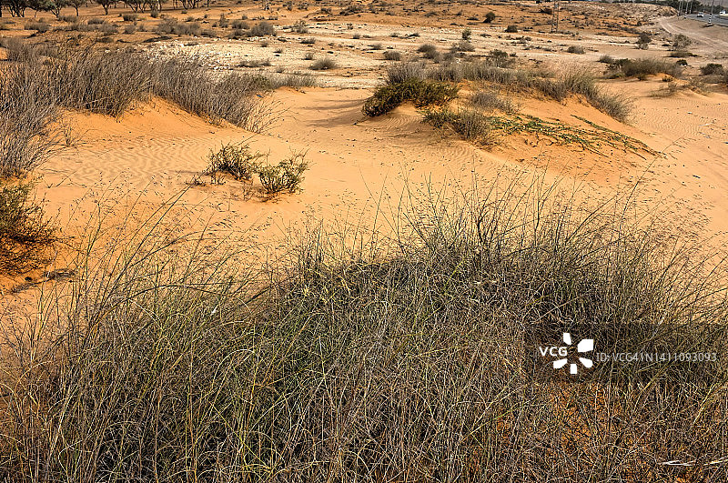 贝尔谢巴南部半干旱沙漠公路图片素材
