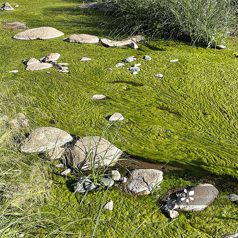 纳米比亚白娘子岩画附近的溪流图片素材