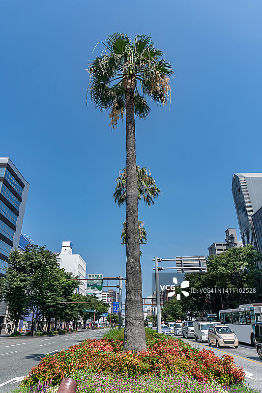 日本福冈市的城市道路图片素材