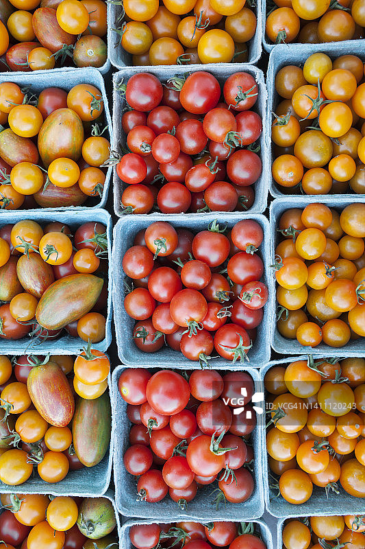 农贸市场上的什锦彩色樱桃番茄图片素材
