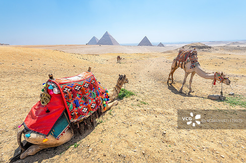 埃及吉萨金字塔图片素材