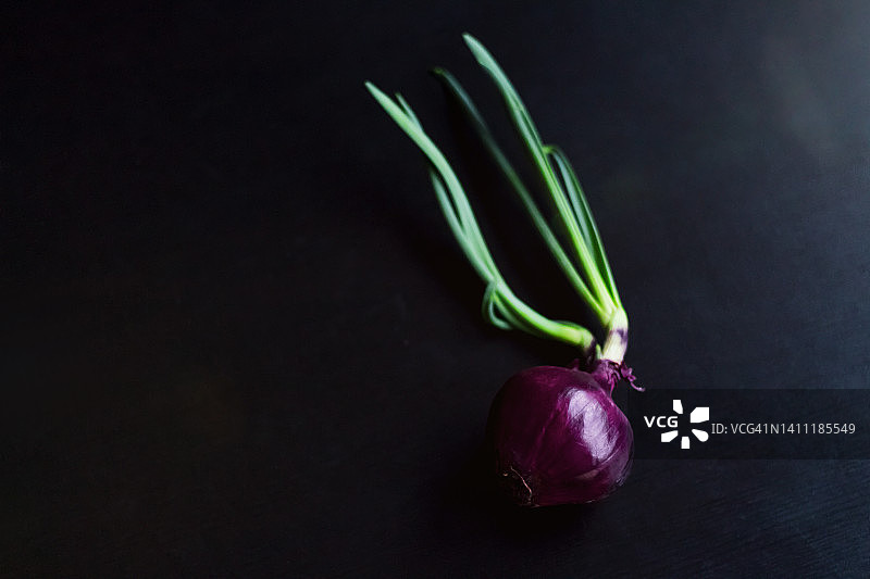 厨房桌上的一颗红洋葱图片素材