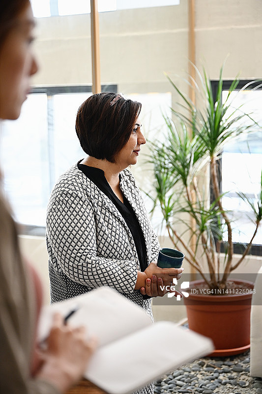 参加会议的女CEO图片素材