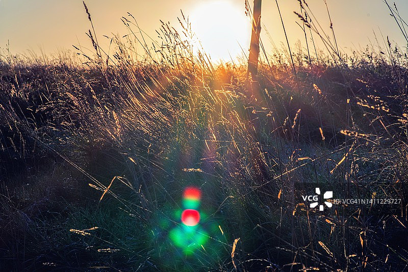 让阳光照耀图片素材