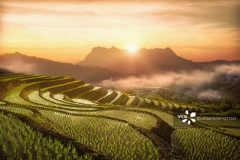 高地梯田与山脉日落图片素材