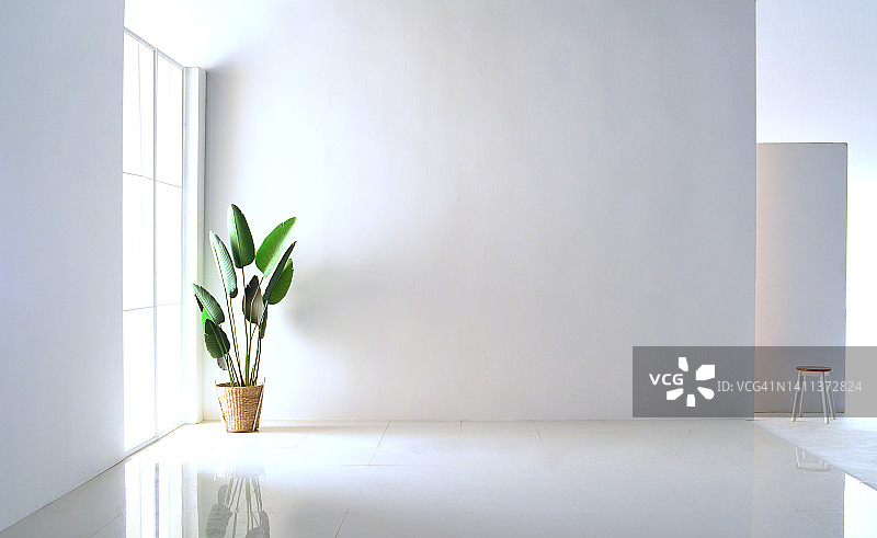 室内椅子植物窗户舒适干净地板图片素材