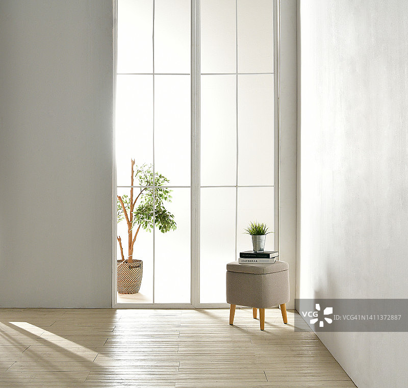 明亮的现代白色室内空间，含植物图片素材