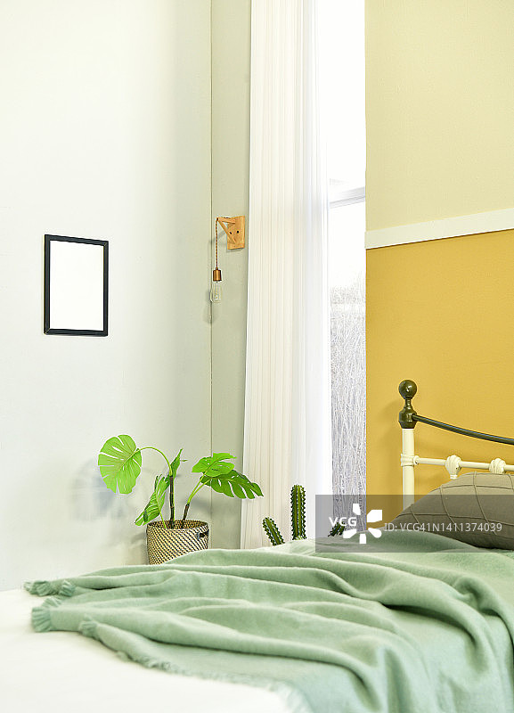 室内房间：床、窗帘和植物的舒适空间图片素材