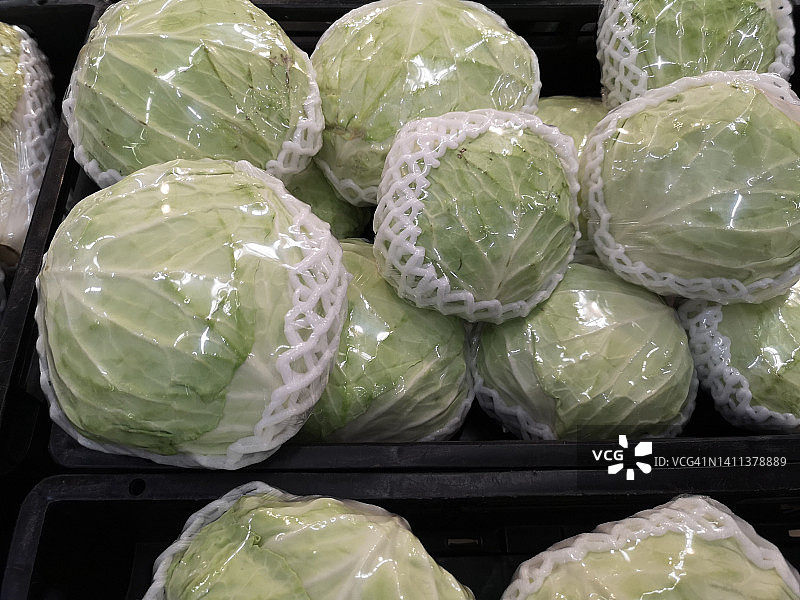 绿色蔬菜：天然食物卷心菜图片素材