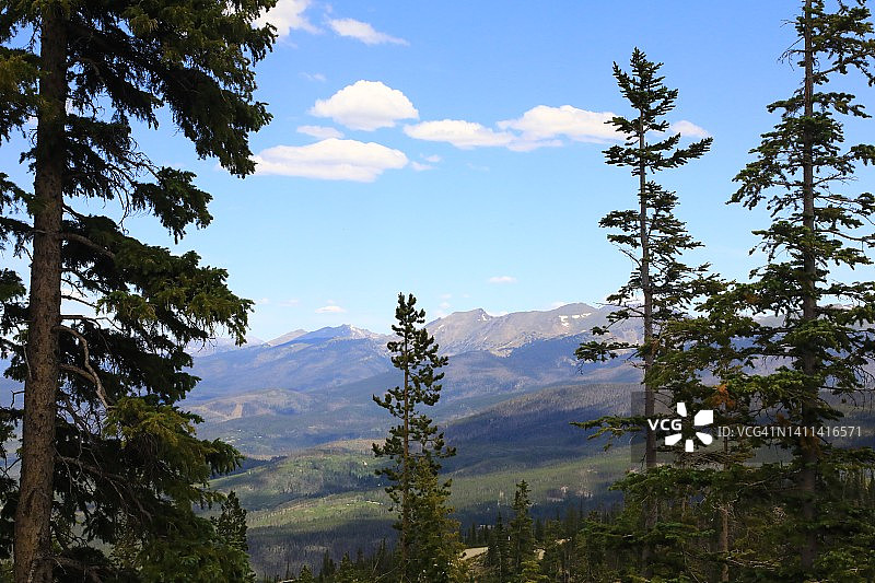 黄松林后的远山图片素材