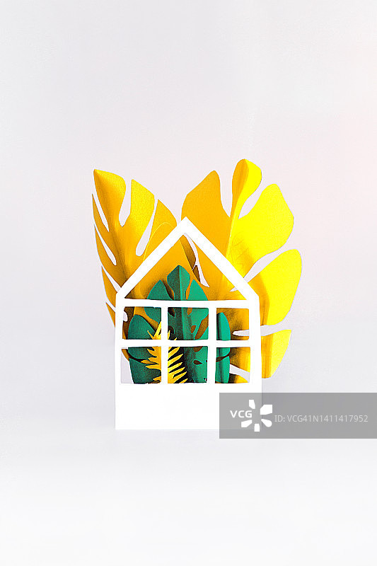 纸质热带温室图片素材