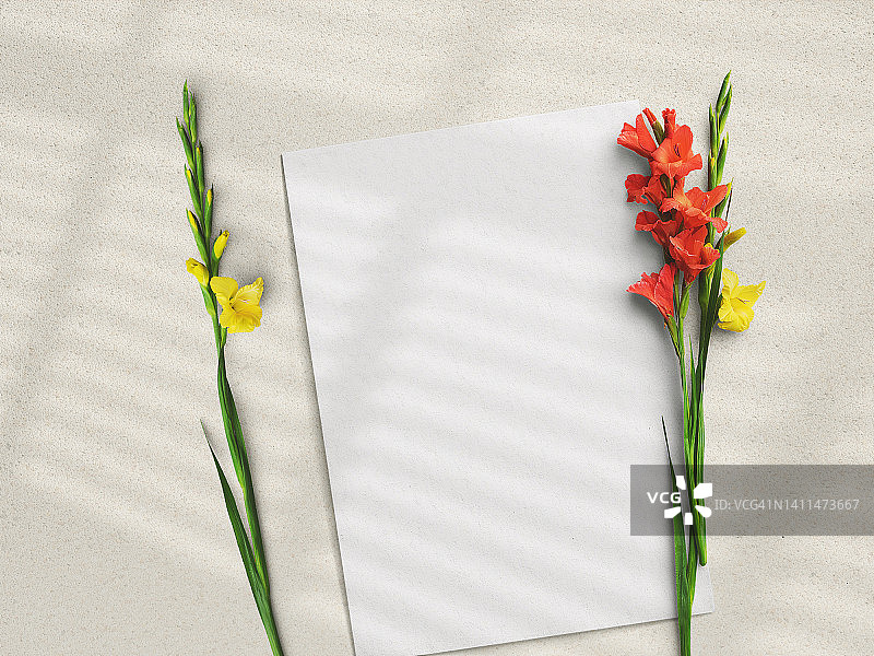 米色背景上带橙色花的竖版纸张。模板。样机图片素材