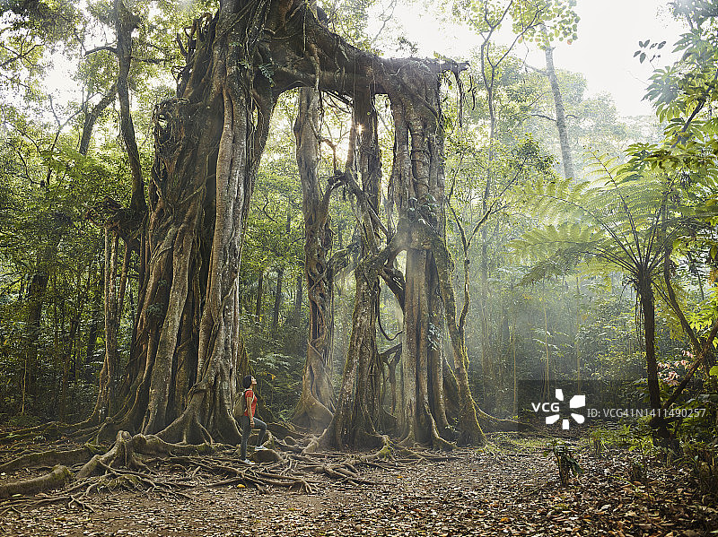 健美的亚洲女性在热带雨林中徒步旅行图片素材