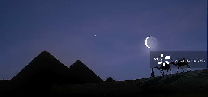 埃及吉萨金字塔的骆驼队图片素材