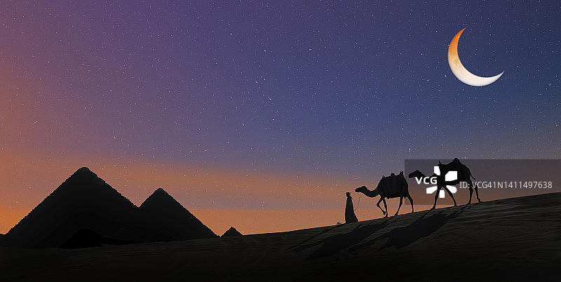 埃及吉萨金字塔的骆驼队图片素材