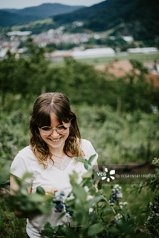 女人在收获成熟的蓝莓图片素材