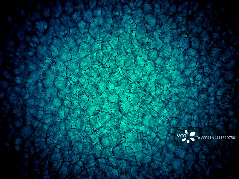 微距光影图案图片素材