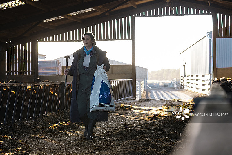 喂食和清理图片素材