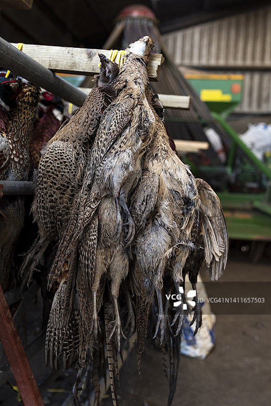 狩猎游戏图片素材