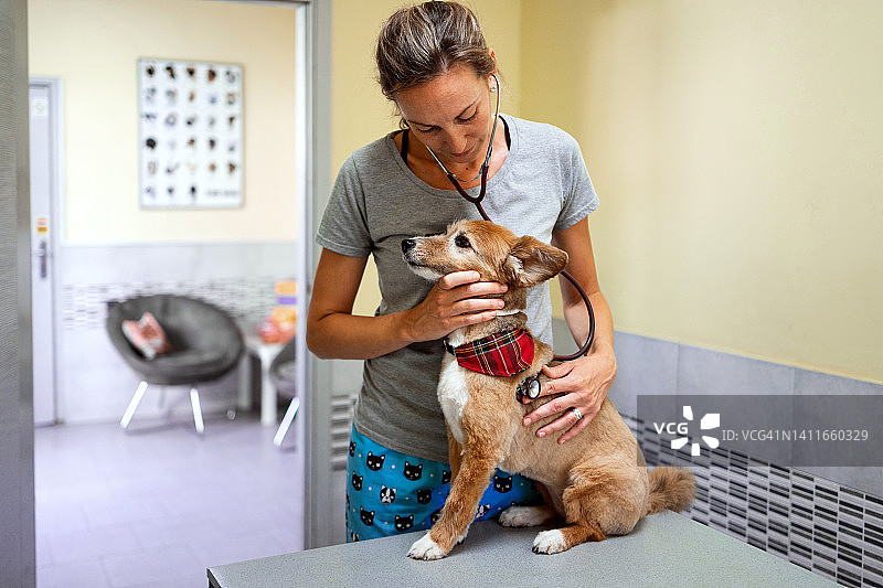 宠物医院图片素材