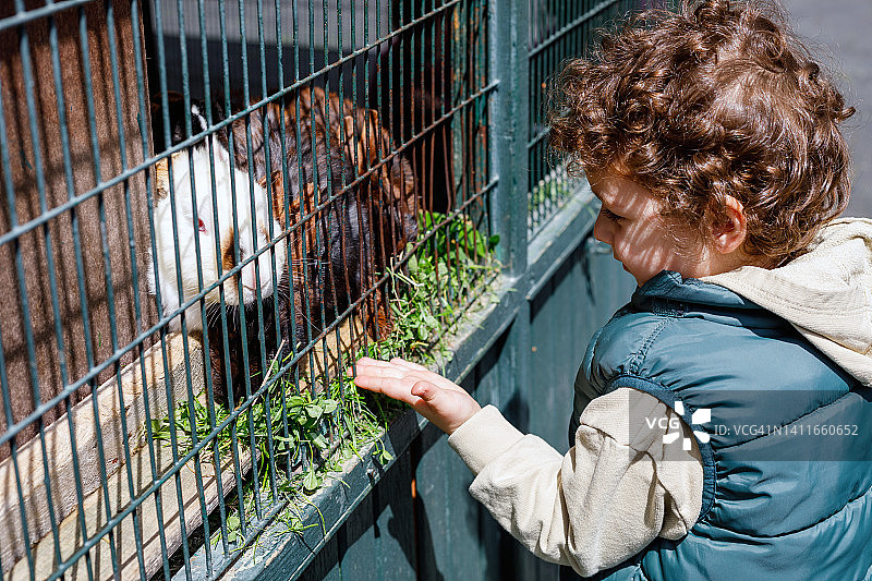 在游乐场喂兔子的可爱幼儿图片素材