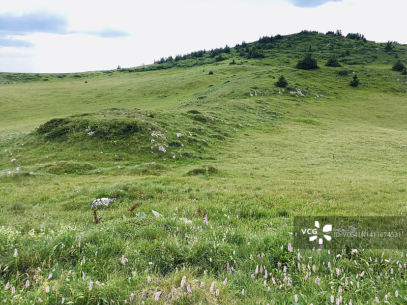 波斯尼亚和黑塞哥维那萨拉热窝，夏季的雅荷利纳山景观图片素材
