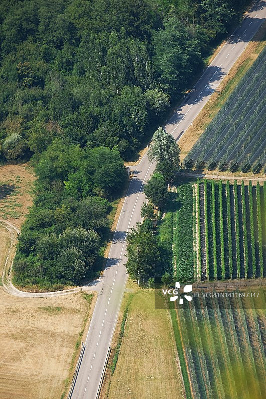 农作物道路的航拍图图片素材