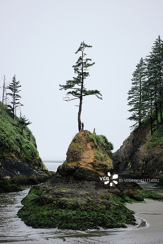 华盛顿州孤岛上的儿童图片素材