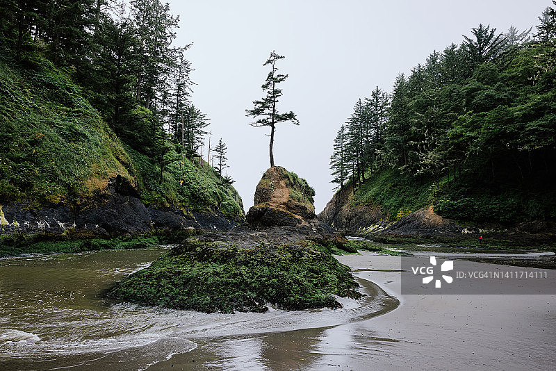 华盛顿州的死人湾图片素材