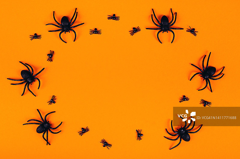 橙色背景上的圆形玩具蜘蛛图片素材