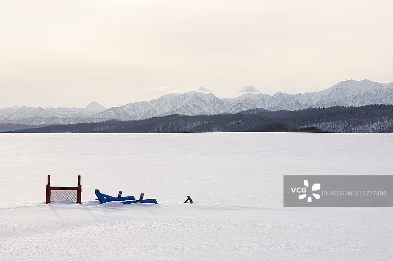 树木和雪地图片素材