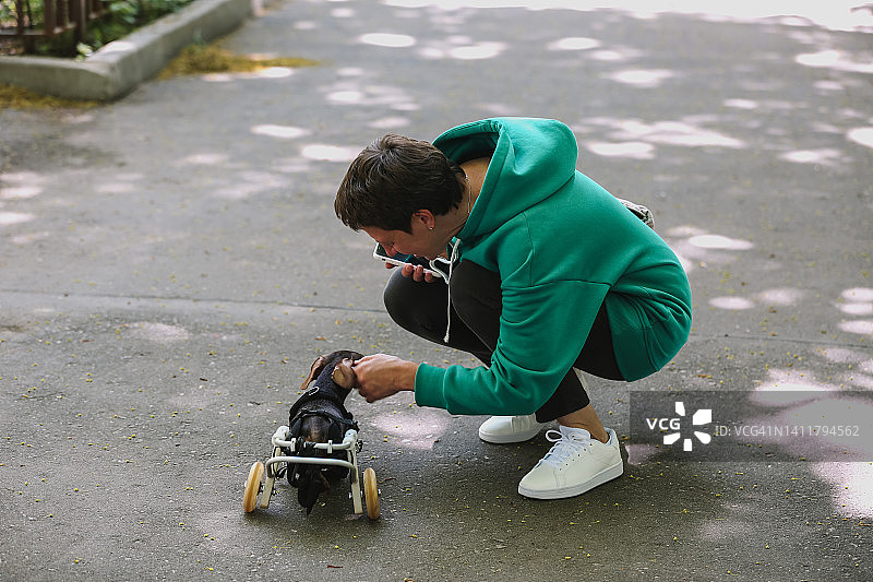 成年女子用轮椅带着残疾腊肠犬散步图片素材