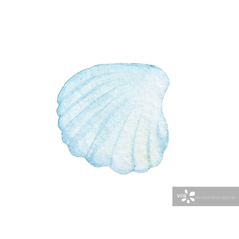 白色背景上的水彩扇贝图片素材