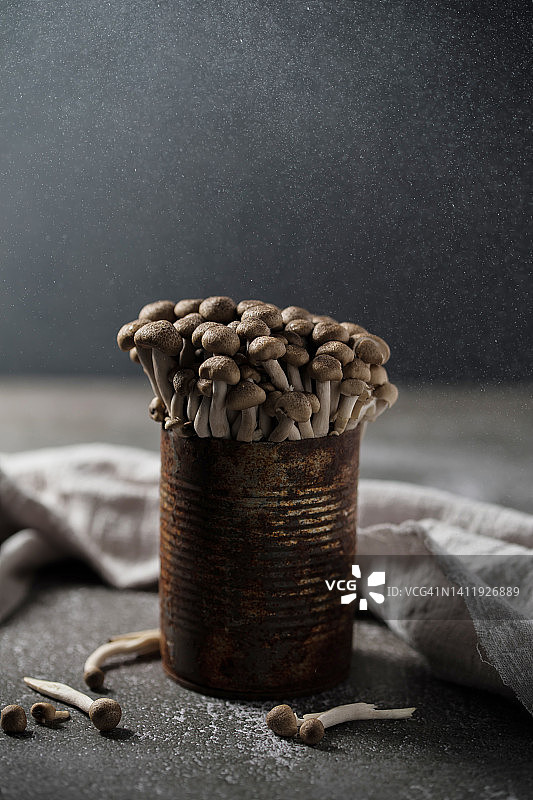 真姬菇图片素材