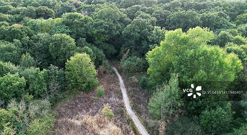 林地小路图片素材