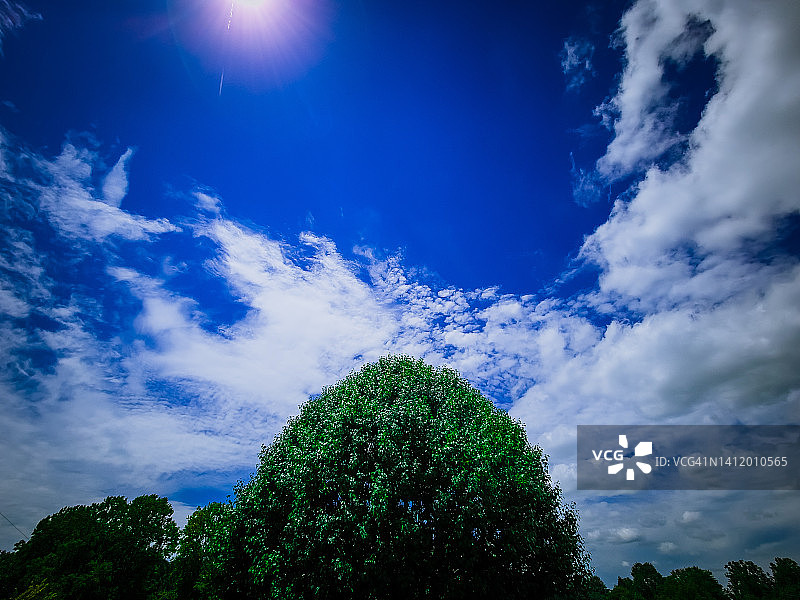 绿树与蓝天图片素材