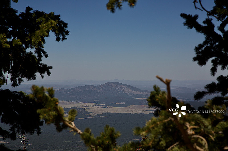 透过黄松树看到的汉弗莱斯山图片素材