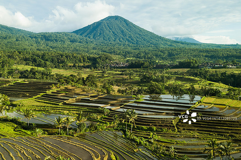 巴厘岛贾蒂卢维梯田图片素材