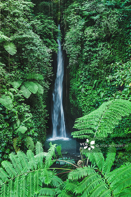 巴厘岛隐藏在热带丛林中的Leke Leke瀑布。美丽的印度尼西亚。亚洲旅行图片素材