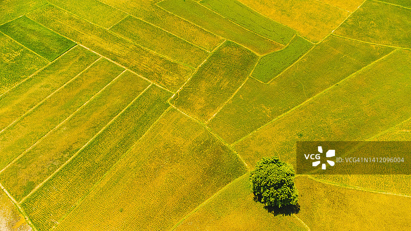 稻田插秧季节航拍图片素材