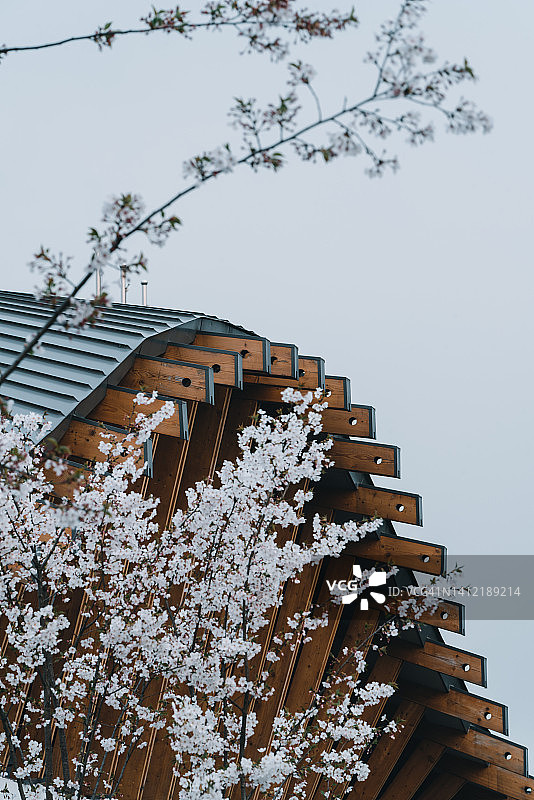 具有传统设计元素的新建筑：屋顶图片素材