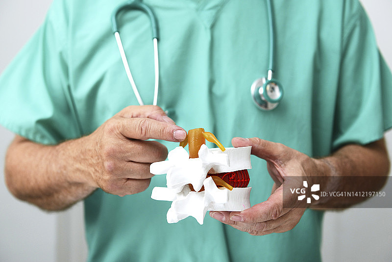 脊椎教学模型图片素材