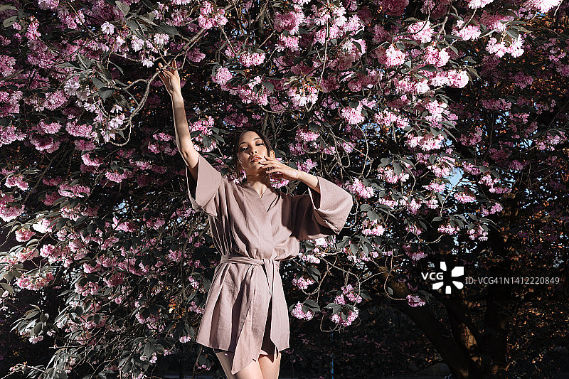 樱花树下的亚洲女性肖像照片图片素材