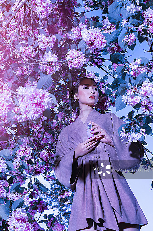 樱花树下的亚洲女性肖像照片图片素材