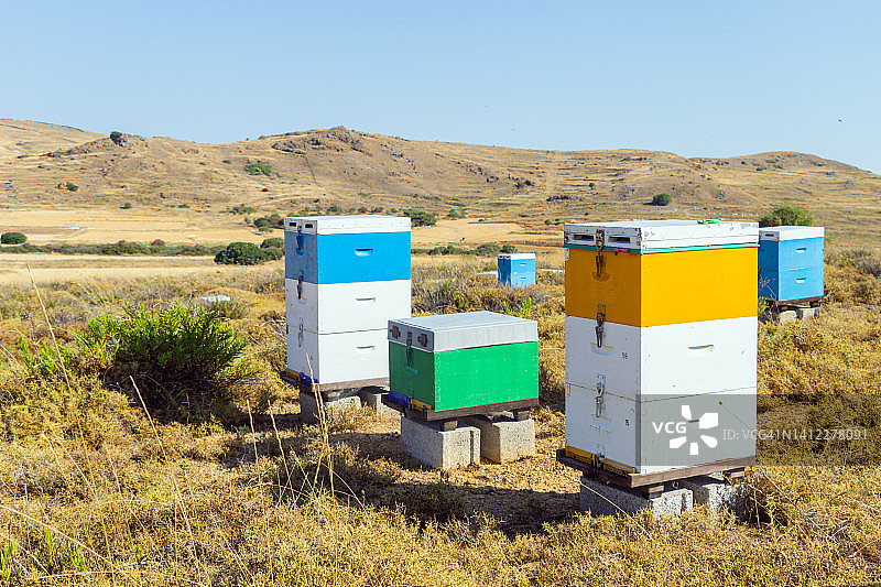 希腊莱姆诺斯岛上的养蜂业图片素材