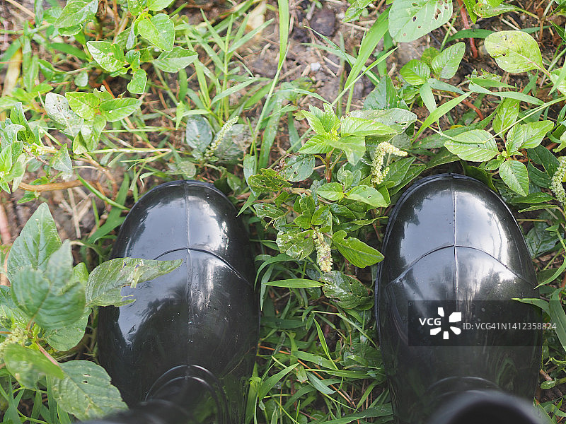 黑色靴子，草地绿叶上的鞋子图片素材